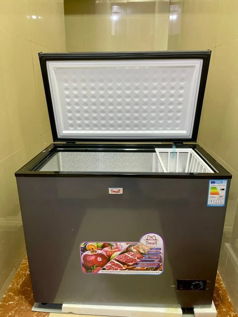 FREEZER 160L