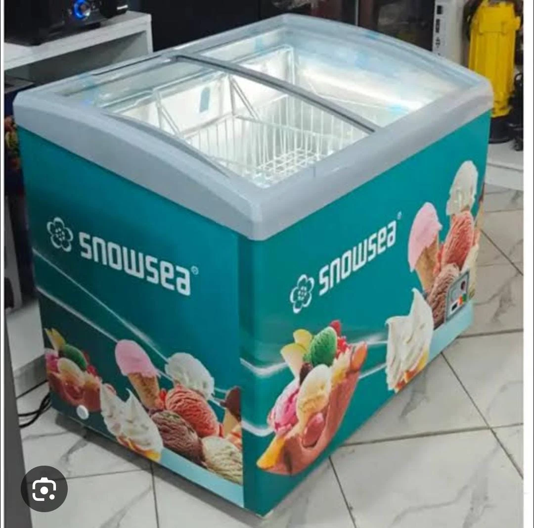 FREEZER SN368GF 300L